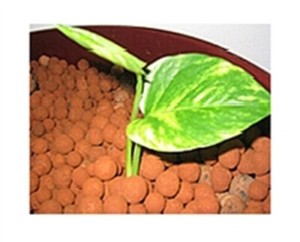 1 liter of hydroton expanded clay grow media hydroponic