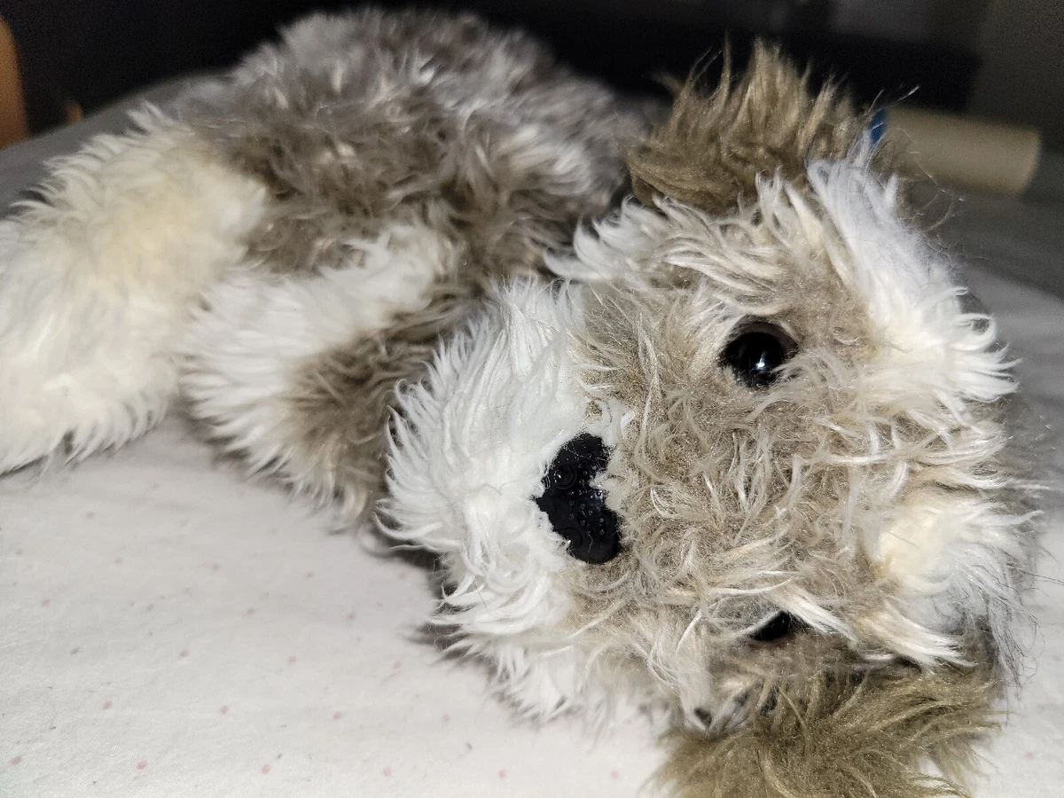 How Do I Make My Dog Less Staticy