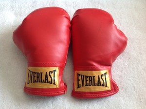 everlast boxing gloves small