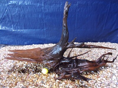 XX-Large Driftwood 18''x33''x18'' Aquarium Terrarium Reptile Natural Art