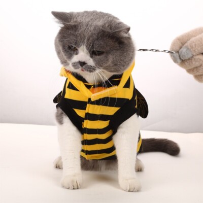 Pet Halloween Cosplay Costume Little Bee Cat Outfit Hoodie Warm