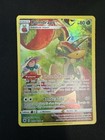 Carte Pokemon - Astres Radieux - EB10 - Pomdrapi TG02/TG30 -