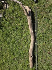 Large 60  Natural Gulf Driftwood Branch   Aquarium Aquascape / Coastal Decor   A