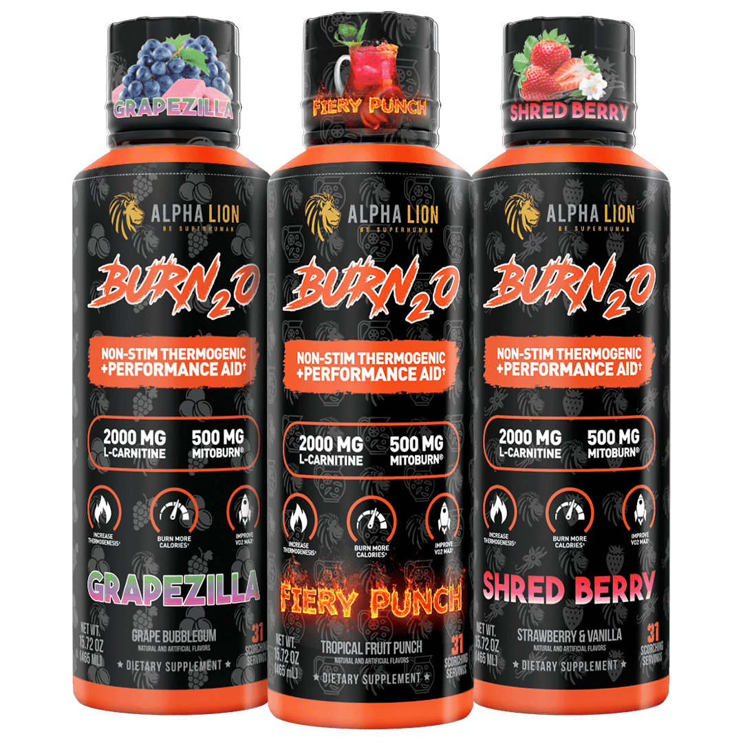 alpha lion l carnitine reviews ALPHA LION BURN2O Non-Stim Stim-Free Thermogenic Performance Aid 31 Servings