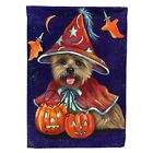 Caroline's Treasures Ppp3061Gf Cairn Terrier Halloween Witch Garden Flag Mail.