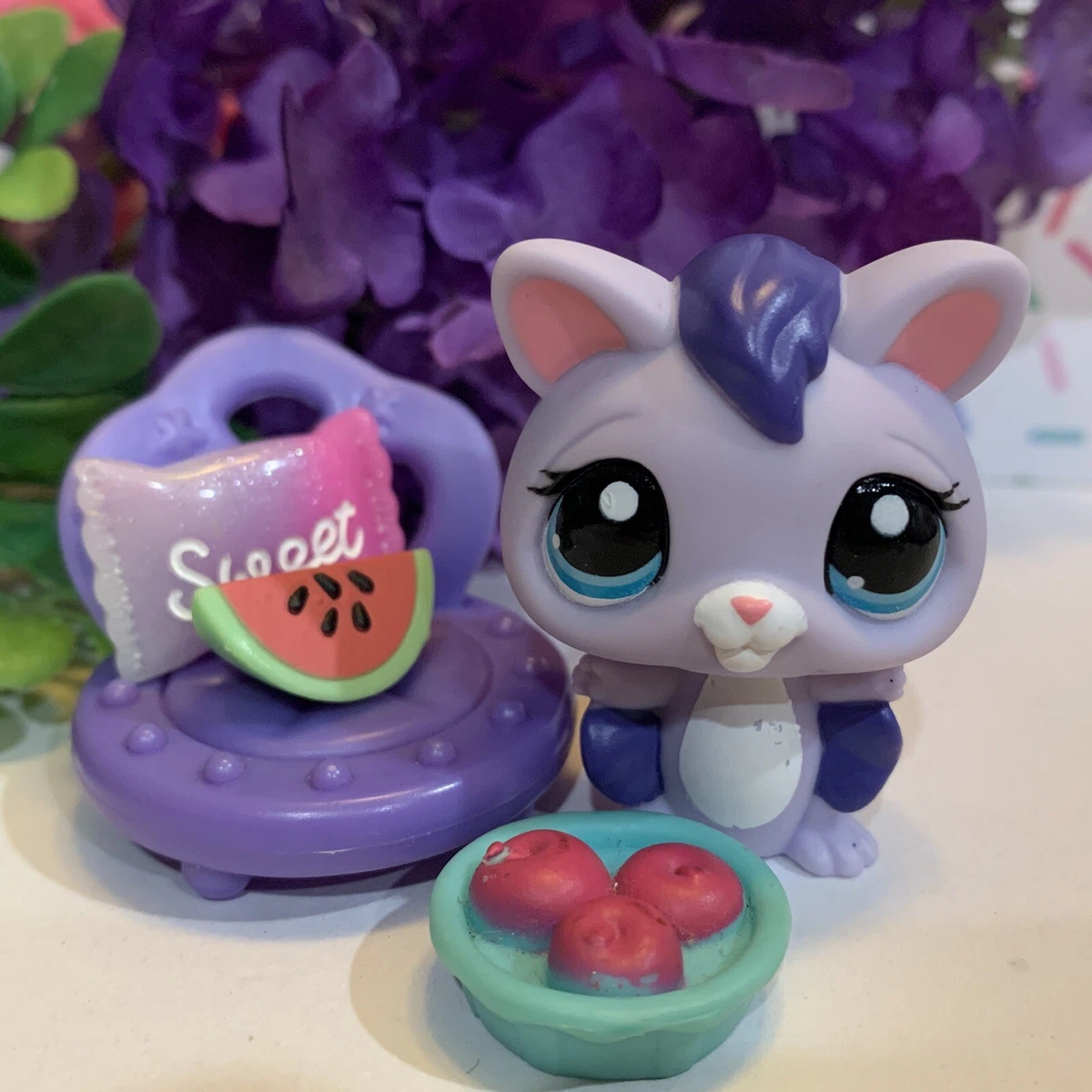 Ebay hotsell sugar glider