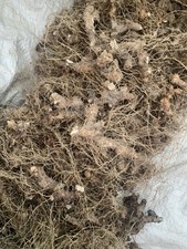 1lb Dried Organic Appalachian Wild Yam Root