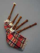 Great Scottish Highland Bagpipe Natural Finish Silver Mount With Accessories