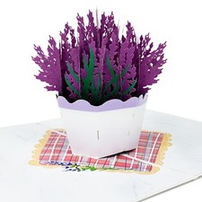 LIMAH  Geburtstagskarte 3D Lavendel