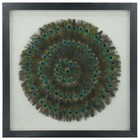 Peacock Feather Shadow Box Wall Décor