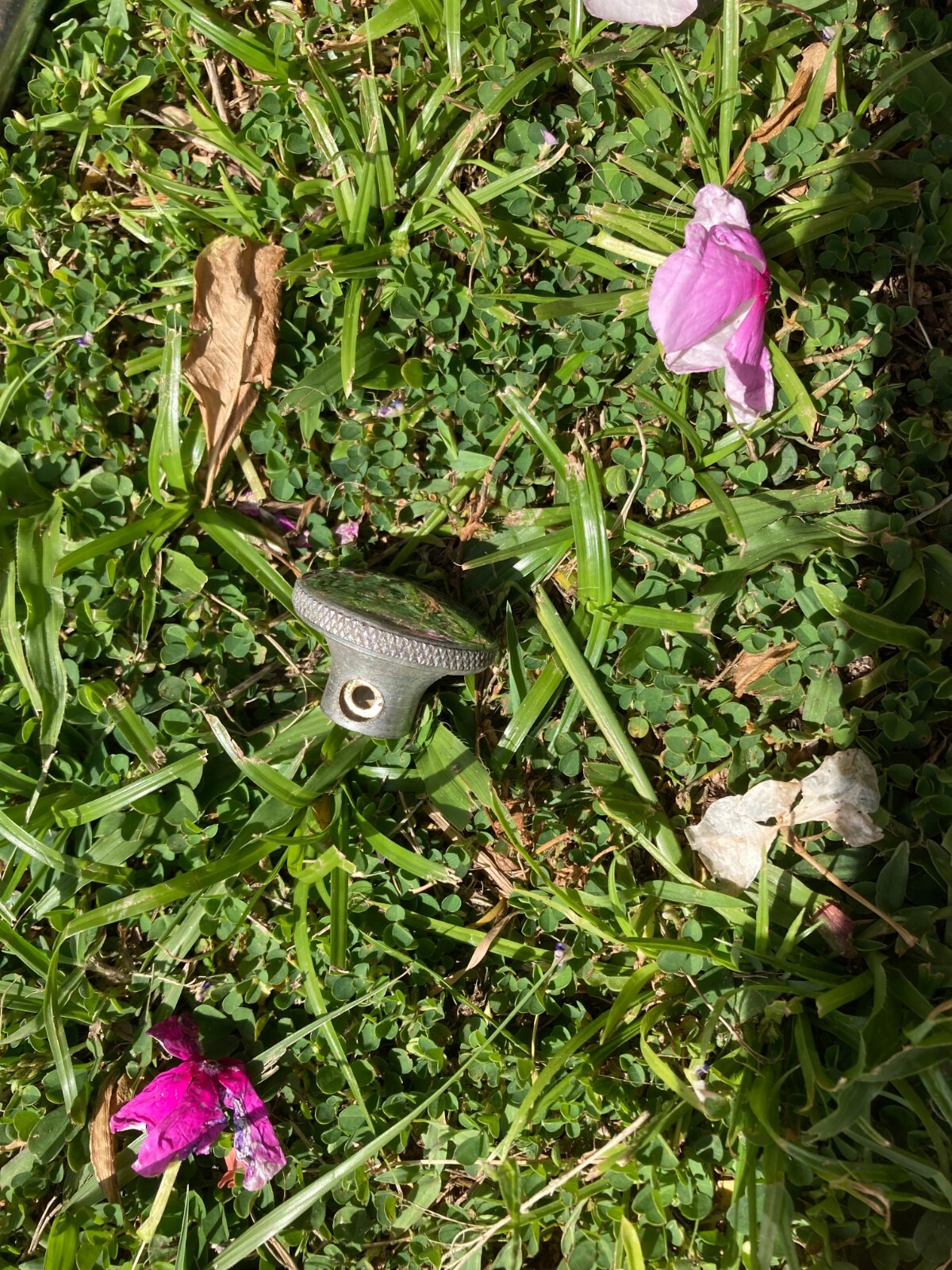Picture 3 of 4