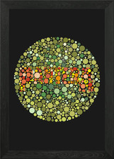 ishihara eye test Framed Wall Art Poster Canvas Print Picture
