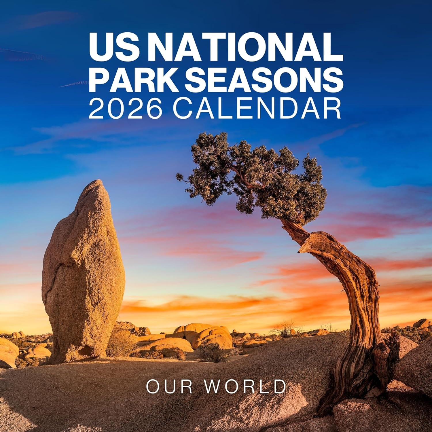 National Parks Calendar 2026 - Large 12 Month 2026 National