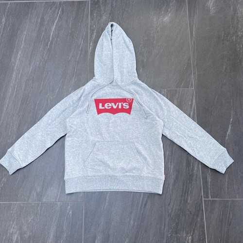 Batwing Logo Pullover Hoodie 