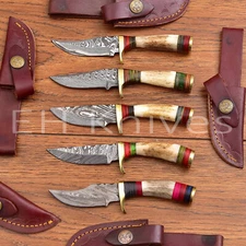 LOT OF 5 PCS CUSTOM FORGED DAMASCUS STEEL HUNTING SKINNER EDC KNIFE STAG/ANTLER
