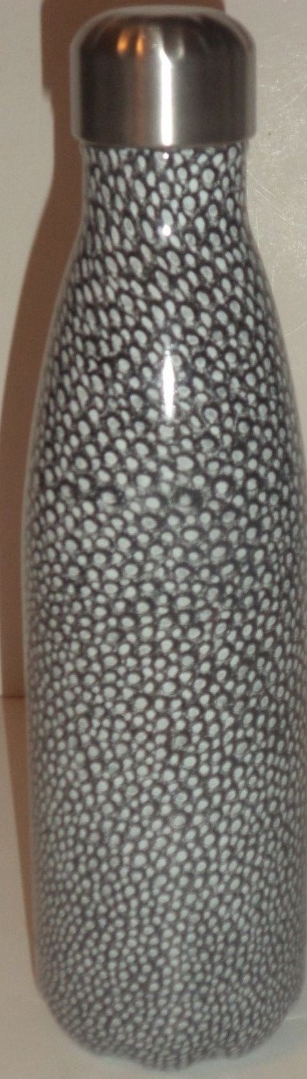 S'well Vacuum Insulated Stainless Steel Water Bottle, 17 oz, Stingray