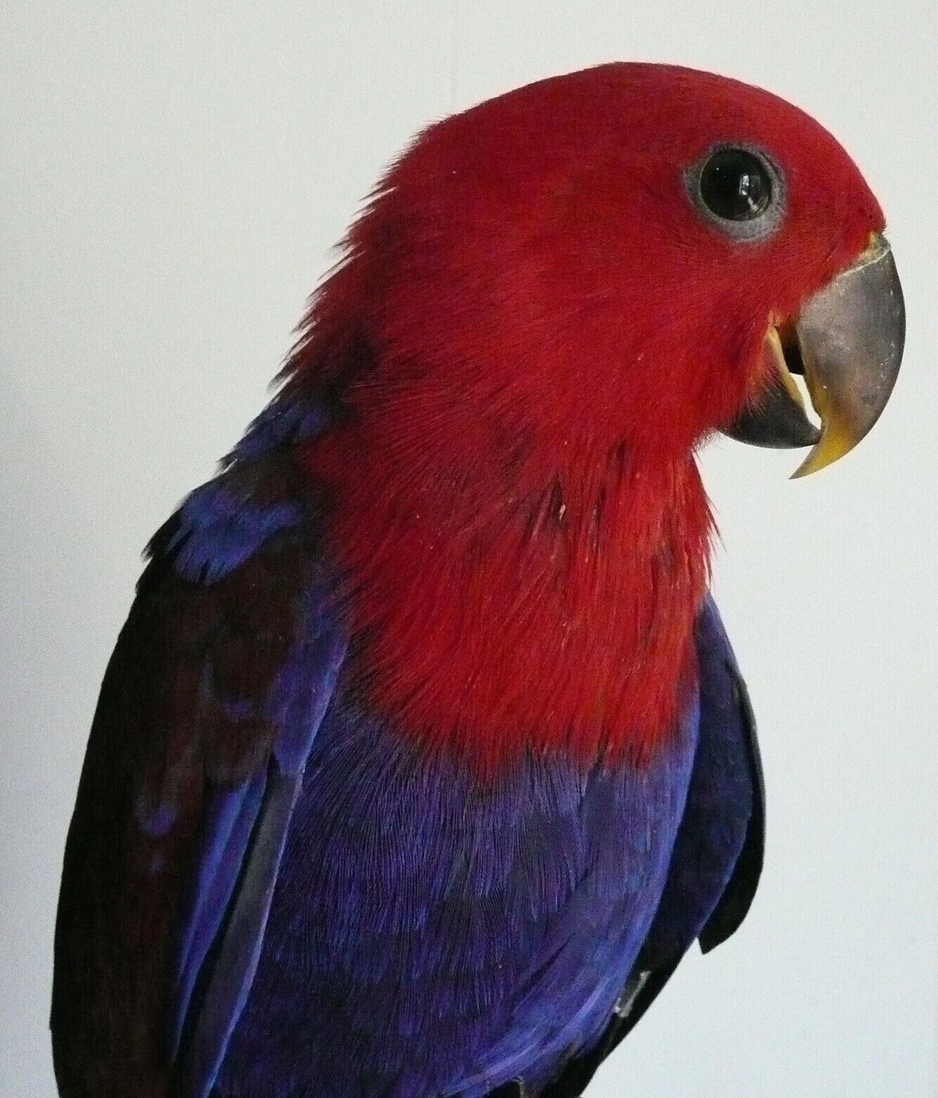 Picture 5 of 12