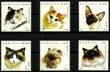 CATS, BEAUTIFUL MNH SET OF 6 STAMPS, YEAR 2006, BEAUTIFUL SET