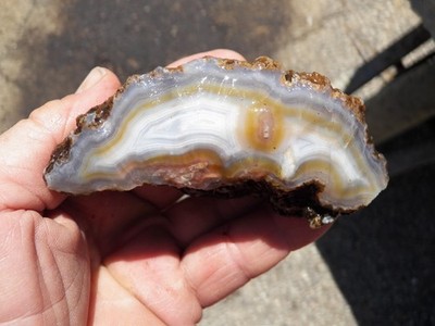 Agouim agate specimen rough Morocco cut it yourself guaranteed pattern and color