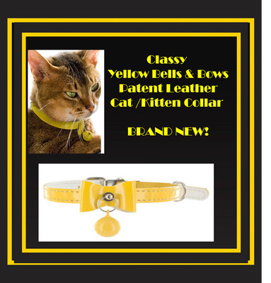 yellow kitten collar