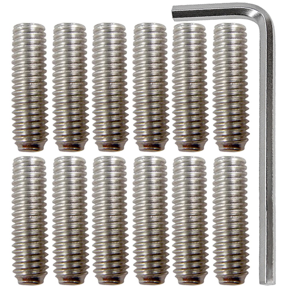 12 Pcs Guitar System Screws Bridge Vis Métalliques Pour Guitare Chevalet De