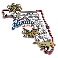 Florida Information State Magnet by Classic Magnets, 3.4" x 3.3"