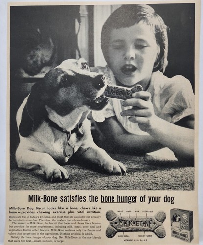 1959 Milk Bone Biscuits Dog Chewing MCM Original Print Ad Life Magazine 50's