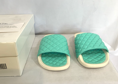 Athletic Propulsion Labs APL Lusso Slide  display picture 2