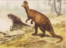 ALBERTA, CANADA Dinosaur  CORYTHOSAURUS Color Print By Z Burian 1963 VF 9x13"