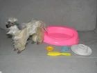 VTG 1979 Mattel Beauty Barbie Afghan Hound Dog Set