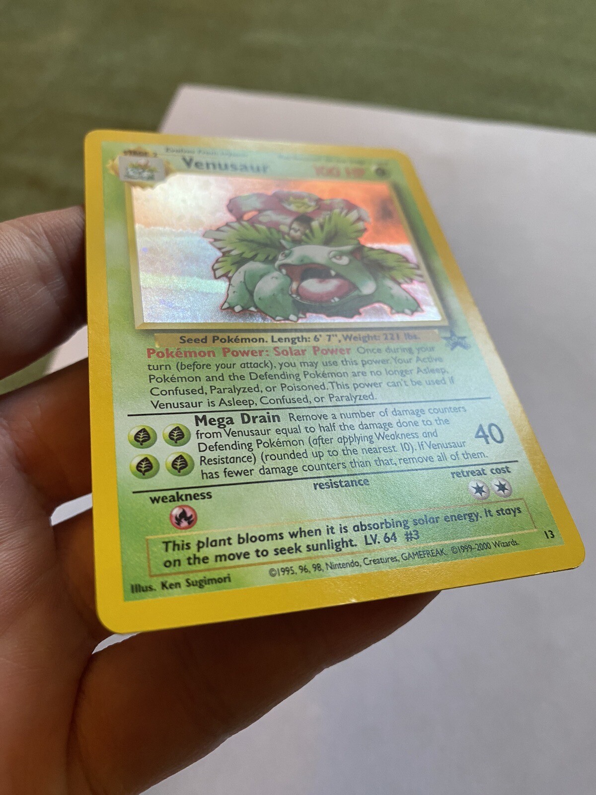 Venusaur Holo Pokémon Card WoTC Black Star Promo 13 HOLO LP eBay
