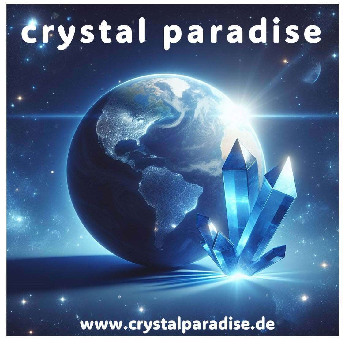 Bild 5 von 5