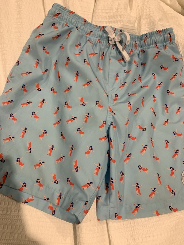 Mens Brooklyn Cloth Swim Trunk Size Small Hula