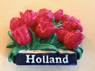 Souvenir Kühlschrankmagnet Holland 🇳🇱