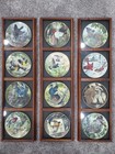 12 National Audubon Society Collector Plates Porcelain — photo 1
