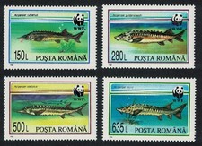 Romania WWF Sturgeons Fish 4v 1994 MNH SG#5660-5663 MI#5034-5037 Sc#3954-3957
