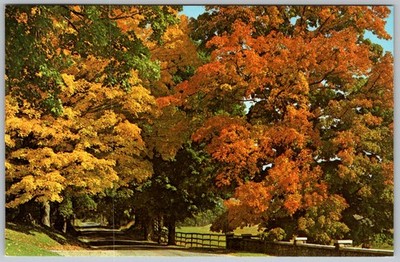 Vtg Postcard Natures Arch Way Vermont, US 1950s