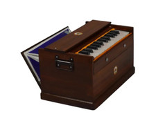 New Single Bellow Single Reed 25 Key 2 Octave Baby Bina Harmonium with Bag