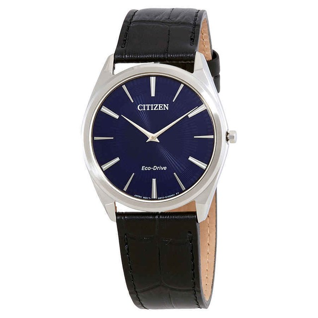 citizen eco drive 38mm case