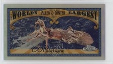 2021 Topps Allen & Ginter Chrome Mini World's Largest Giant Squid #MWL-7 4o6
