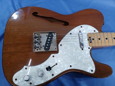Aria ProⅡ TE-500N Telecaster Thinline Aria Pro II TE-500 Thinline Telecaster Type Semi-Hollow Electric