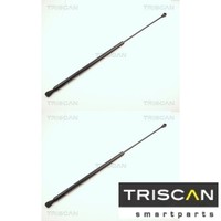 2X Gasfeder FüR Koffer-/Laderaum Triscan 87102504 DäMpfer GasdäMpfer