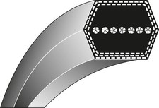 Cinghia esagonale trattorino rasaerba AA71 SNAPPER 7022252 7018236