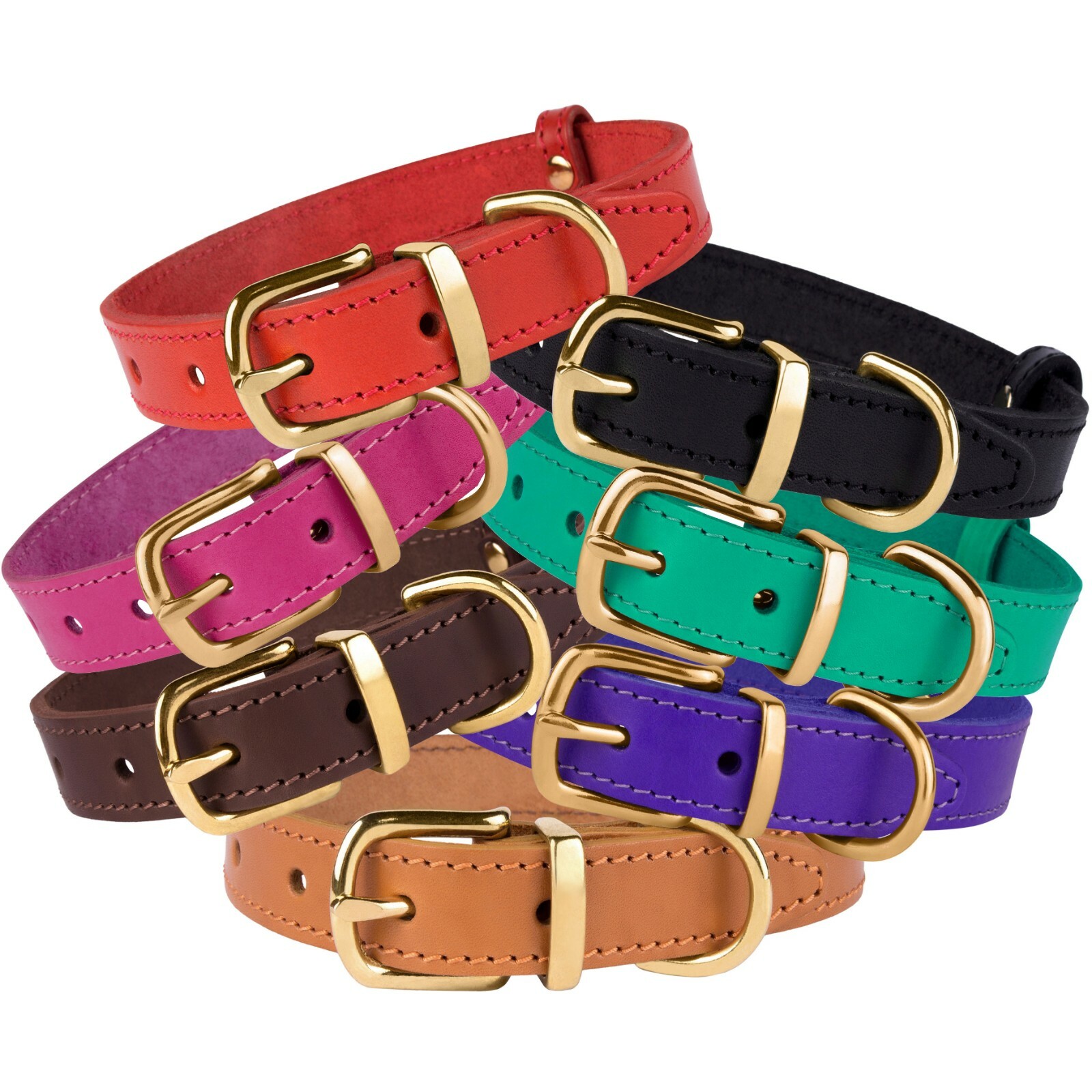 prong dog collar petco