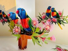 Double Rainbow Lorikeet Parrot 3D Pop Up Greeting Cards Handmade Origami Cards