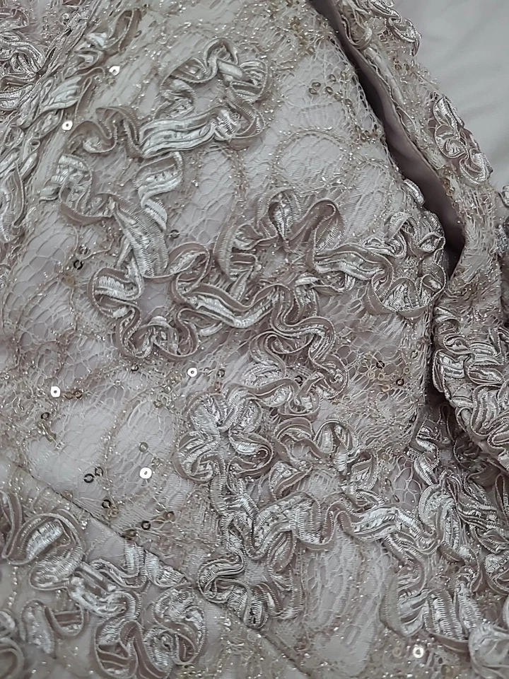 Nuevo Vestido Xscape Bordado Fuera del Hombro Encaje Rosa Polvorienta Talla 22W Foto 4 de 4