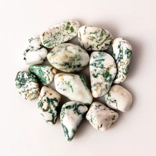 25g Tumbled Small Tree Agate Gemstone Crystals 10-20 Stones Dendritic Specimens