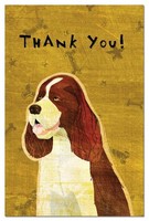 Tree-free Greetings Eco-notes Thank You Card Set, 4 X 6 Inches, 12-count Cards W Tree-free Greetings Eco-notes Thank You Card Set, 4 X 6 Inches, 12-count Cards W