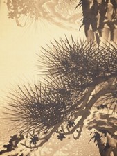 JAPANESE PAINTING HANGING SCROLL FROM JAPAN OLD PINE AGE ART f866