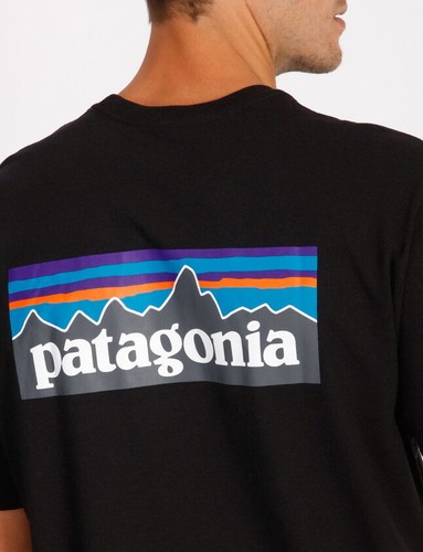 Patagonia 2022 Mens P-6 LOGO Premium 